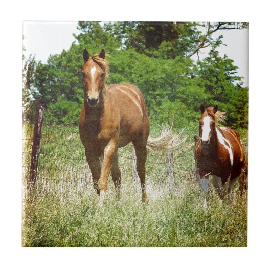 呼来び出されたとき二頭の馬 タイル (正面)