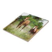 呼来び出されたとき二頭の馬 タイル (側面)