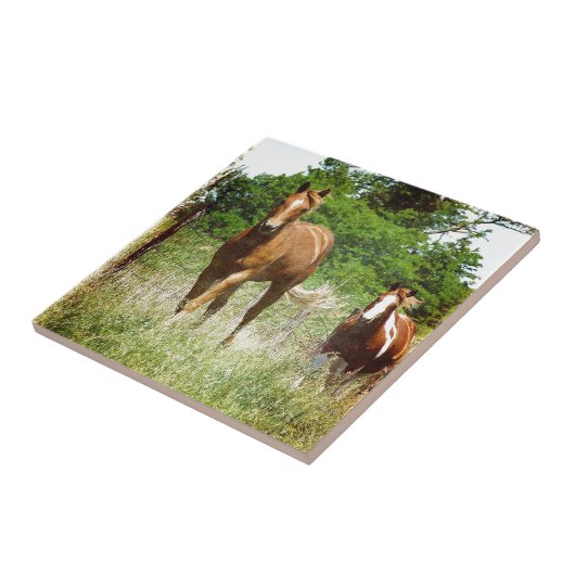 呼来び出されたとき二頭の馬 タイル (側面)