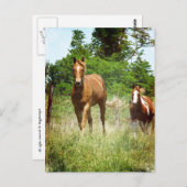 呼来び出されたとき二頭の馬 ポストカード (正面/裏面)