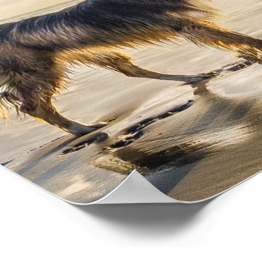 命と犬の詩の創作 ポスター (角)