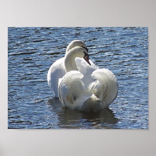 『命のために』 ポスター (正面)