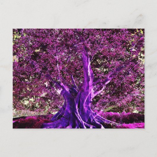 命の木のハート ポストカード (正面)