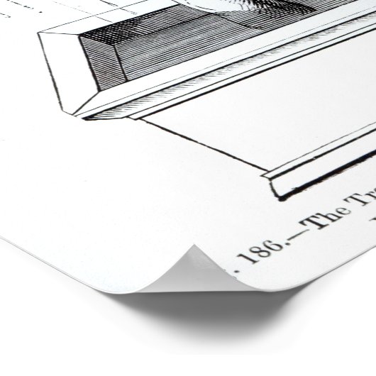 命の木または泣く木 ポスター (角)