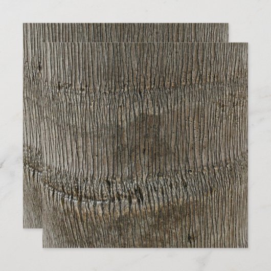 命の木1 招待状 (正面/裏面)