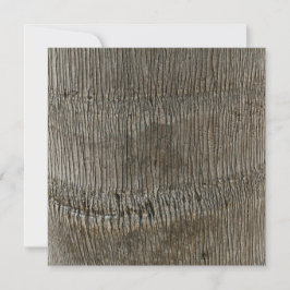 命の木1 招待状