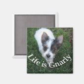 命は軽し マグネット (正面/裏面)