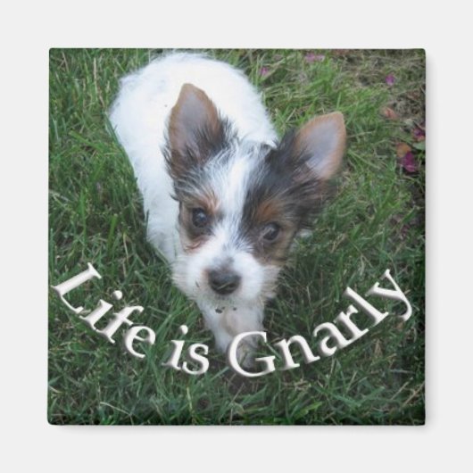 命は軽し マグネット (正面)