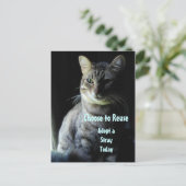 命を救おう！シェルターのペットを迎えよう！ ポストカード (スタンド正面)