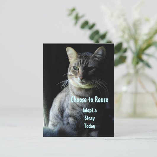 命を救おう！シェルターのペットを迎えよう！ ポストカード (スタンド正面)