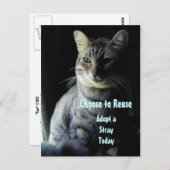 命を救おう！シェルターのペットを迎えよう！ ポストカード (正面/裏面)