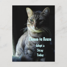 命を救おう!シェルターのペットを迎えよう! ポストカード