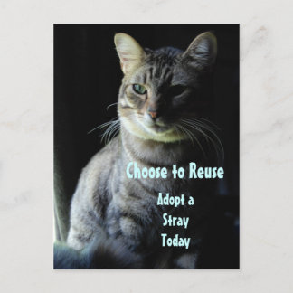 命を救おう!シェルターのペットを迎えよう! ポストカード