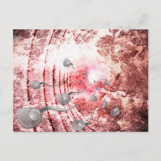 命を狙う競争 ポストカード (正面)