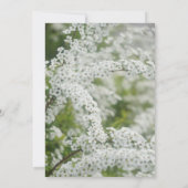 『命を祝うメモリアルサービス』ベイビーズブレス 招待状 (裏面)