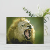 咆哮のライオンへの招待 招待状 (スタンド正面)