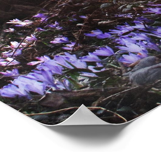 和尚ウィズダム引用文啓発ポスター ポスター (角)