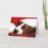 和平挨拶カード シーズンカード (裏面)