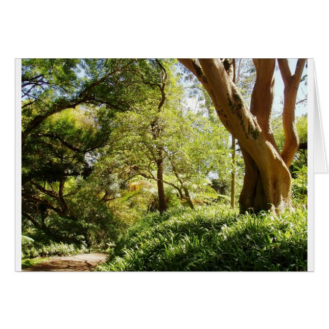 和日和植物園 (正面横)