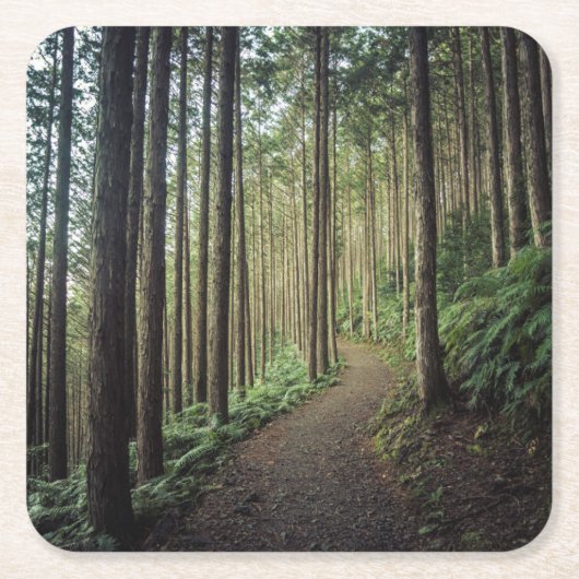 |和歌山を山でハイキングします、日本 スクエアペーパーコースター (正面)