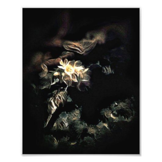 咲いた フォトプリント            (正面)