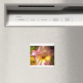 咲きピンクの花磁石 マグネット (インサイチュ (食洗機))