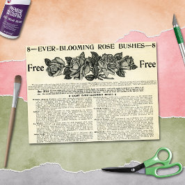 咲き続けるバラブッシュ誌とヴィンテージ工芸品 薄葉紙