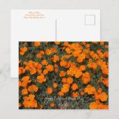 咲き誇るカリフォルニア：ハッピーカリフォルニアのポピーの日！ ポストカード (正面/裏面)