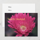 咲き誇るガーベラの招待状 招待状 (正面/裏面)