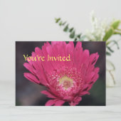 咲き誇るゲルベラの招待状 招待状 (スタンド正面)