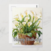 咲き誇るコーラ・リリーの花 ポストカード (正面/裏面)