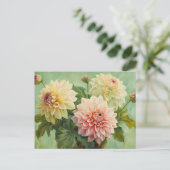 咲き誇るダリアの花のイラスト ポストカード (スタンド正面)