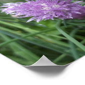 咲き誇るチーブポスター ポスター (角)