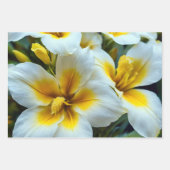 咲き誇る牡丹 ラッピングペーパーシート (正面2)