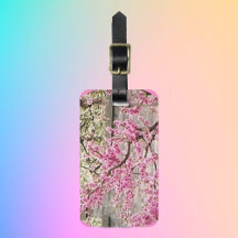 咲くさくらんぼとアプリコットの木