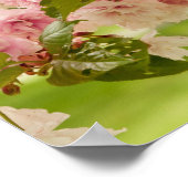 咲くさくらんぼの木と完璧な造園 ポスター (角)