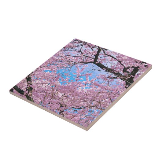 咲くさくらんぼ タイル (側面)