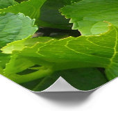 咲くアジサイ ポスター (角)