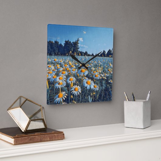 咲くカモミールの畑 スクエア壁時計 (オフィス)