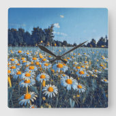 咲くカモミールの畑 スクエア壁時計 (正面)