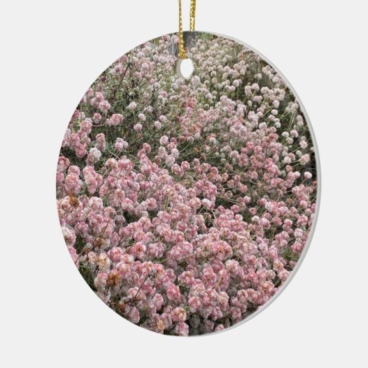 咲くカリフォルニアの海の崖そば セラミックオーナメント (左)