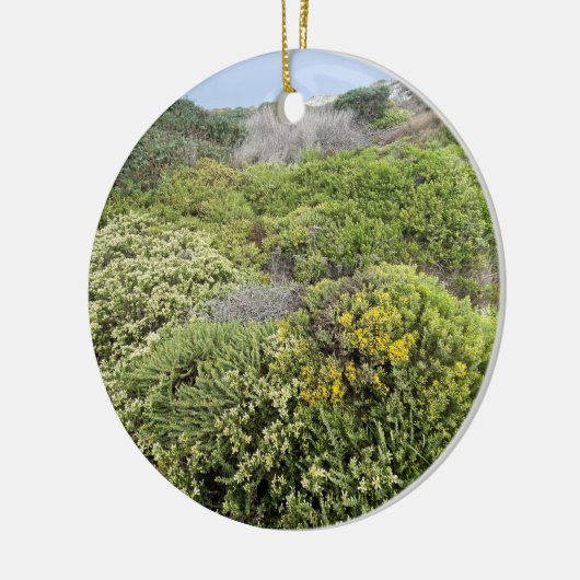 咲くカリフォルニアの海の崖そば セラミックオーナメント (左)