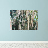 咲くカリフォルニアの絹の房 キャンバスプリント (インサイチュ (ウッドフロア))