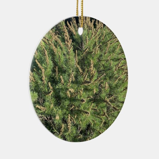 咲くカリフォルニア:サギーブラシのセラミックオーナメント セラミックオーナメント (右)