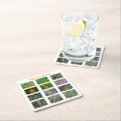 咲くカリフォルニア スクエアペーパーコースター (インサイチュ)