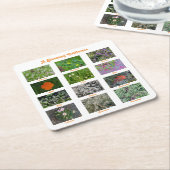 咲くカリフォルニア スクエアペーパーコースター (アングル)