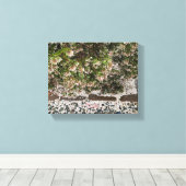 咲くカリフォルニア：マンザニタ雪 キャンバスプリント (インサイチュ (ウッドフロア))