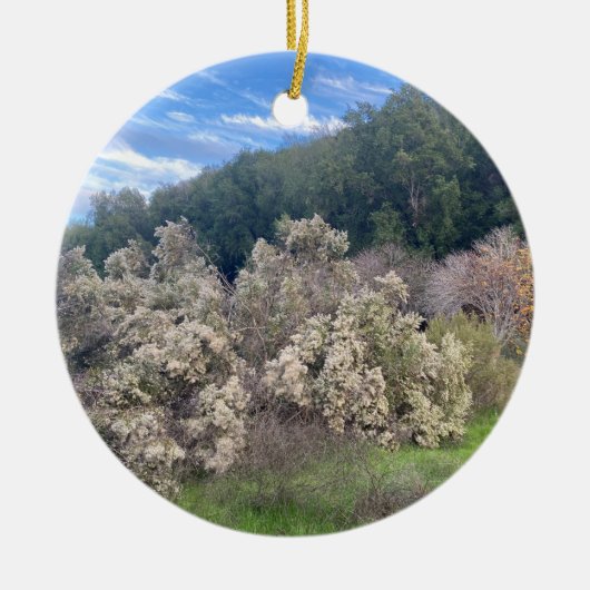 咲くカリフォルニア:咲くカリフォルニアコール セラミックオーナメント (正面)