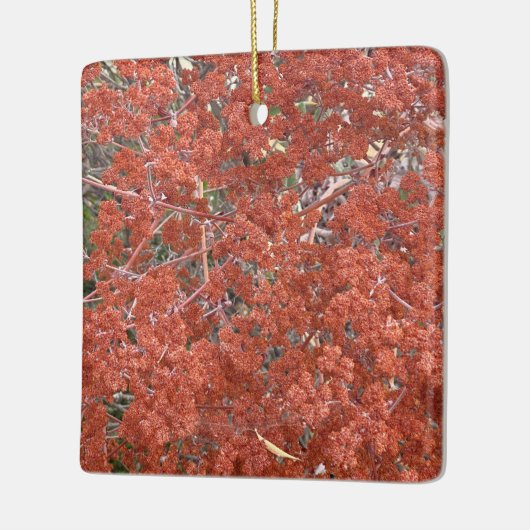 咲くカリフォルニア:聖キャサリンのレース セラミックオーナメント (左)