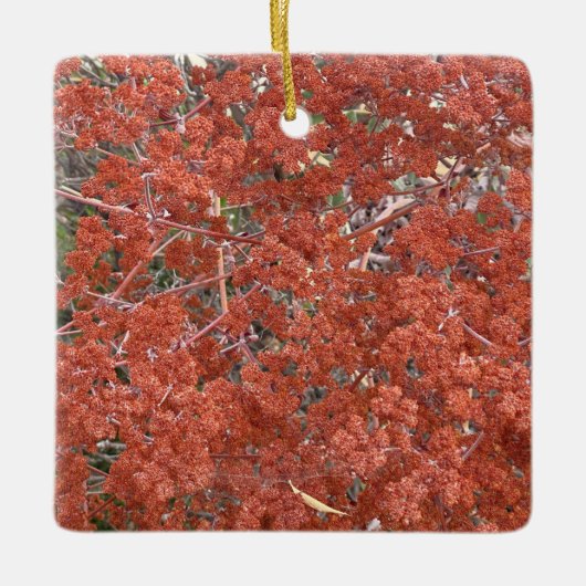 咲くカリフォルニア：聖キャサリンのレース セラミックオーナメント (正面)